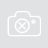 Либерман. Фото: Моти Кимхи